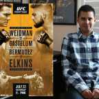UFC Long Island: Weidman vs Gastelum Analysis
